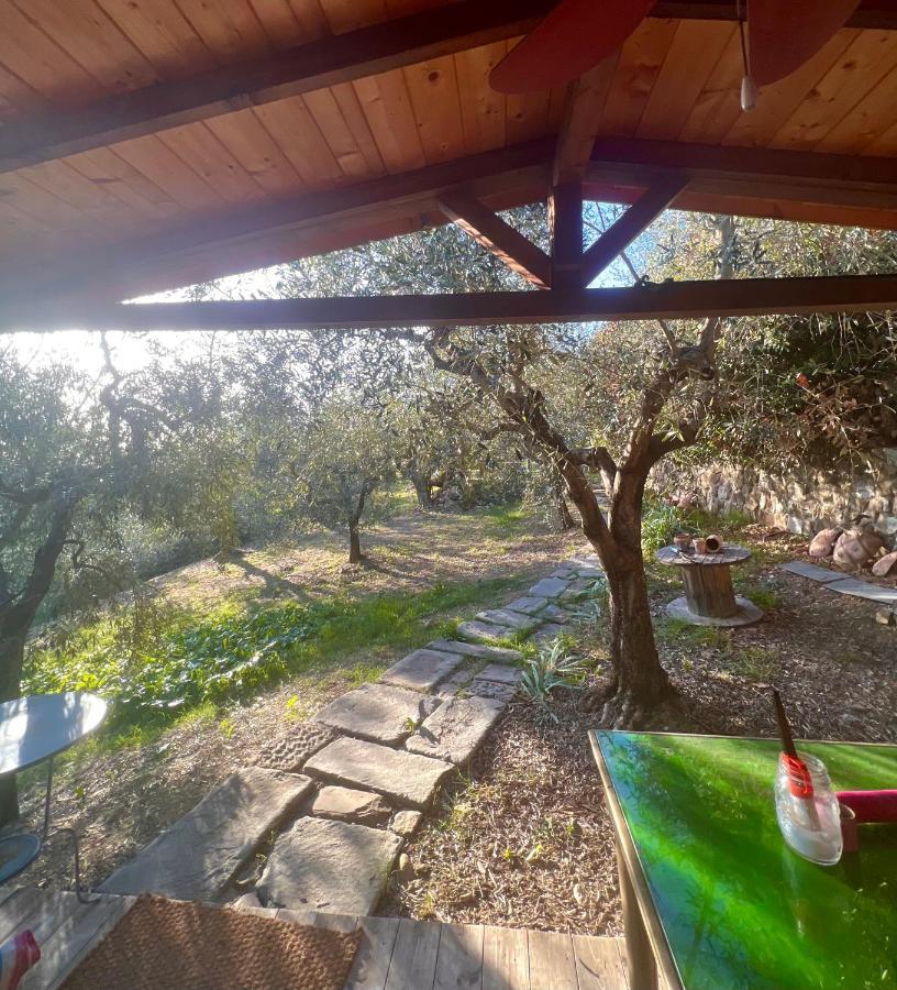 Poggio Alla Pieve Relais 卡莱扎诺 外观 照片