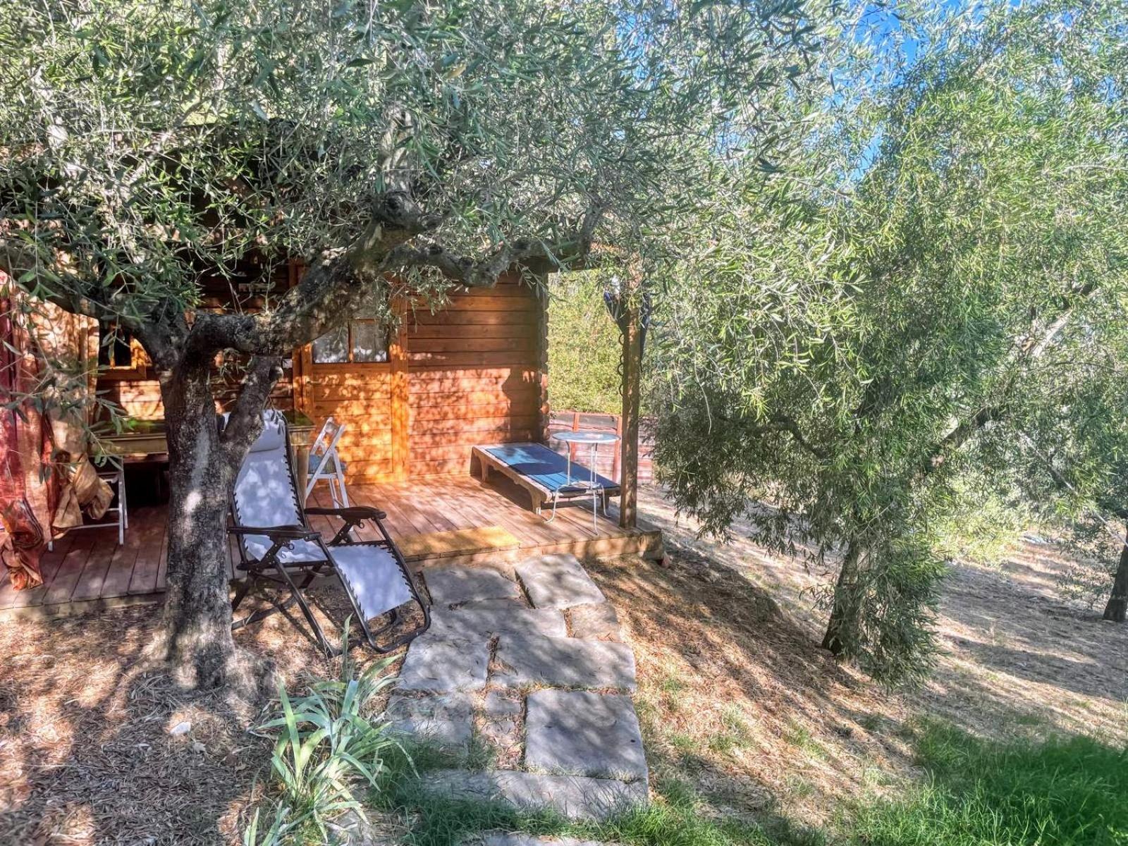 Poggio Alla Pieve Relais 卡莱扎诺 外观 照片